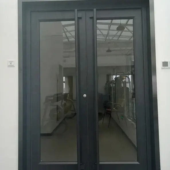 OEM UPVC stainless steel Aluminium Double swing pintu pintu kfc Ketebalan 1,2mm